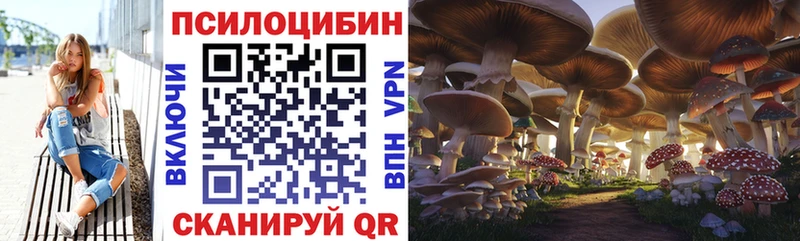 darknet состав  Аткарск  Псилоцибиновые грибы ЛСД  mega  